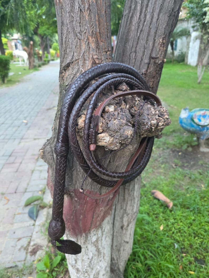 K&ouml;nnte beinhalten: Eine dunkelbraune Lederpeitsche mit geflochtenem Griff und Schlaufendesign. Die Peitsche ist um einen Baumstamm gewickelt und zeigt ihre L&auml;nge und Handwerkskunst. Der Griff der Peitsche hat einen dekorativen Knoten.