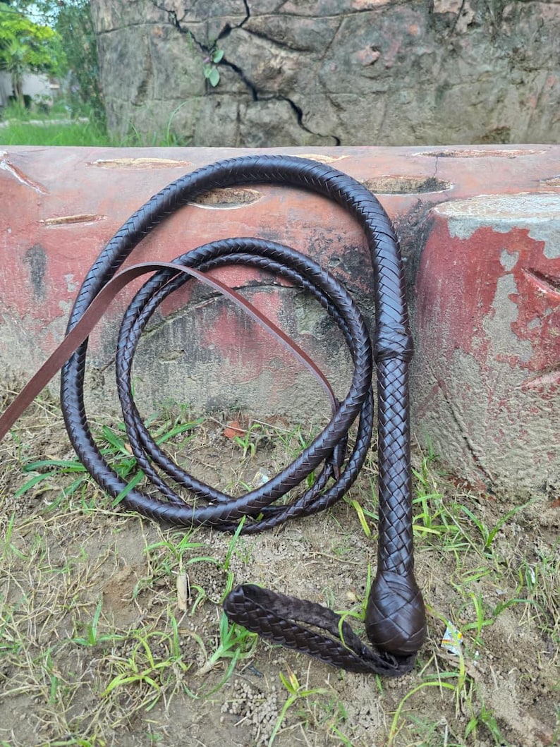 K&ouml;nnte beinhalten: Eine dunkelbraune Lederpeitsche mit geflochtenem Griff und langer, aufgerollter Peitsche. Die Peitsche liegt auf dem Boden mit Gras und einem verwitterten Steinhintergrund. Der Griff hat ein knollenf&ouml;rmiges Ende.
