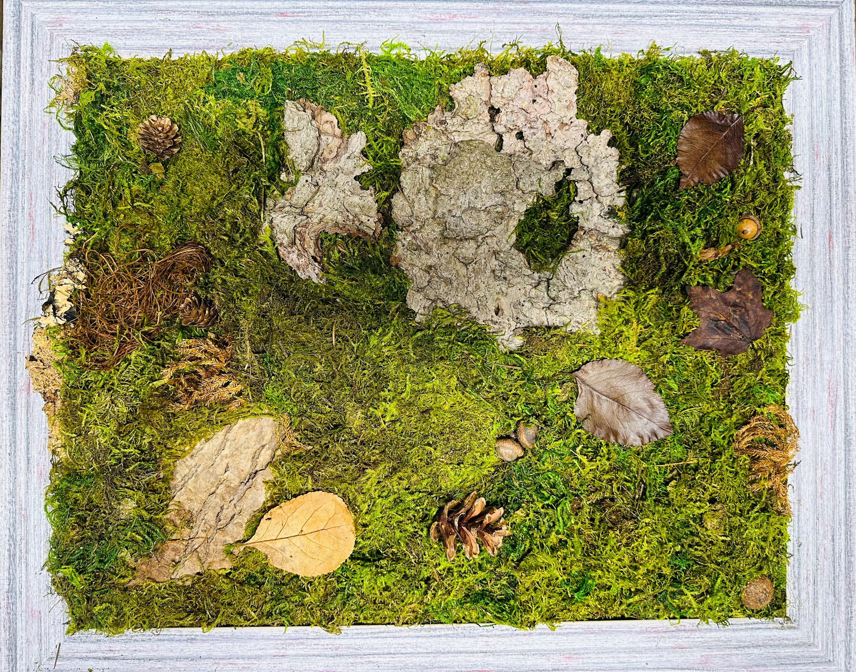 handmade-artisan-moss-wall-art-with-blue-gray-frame-etsy