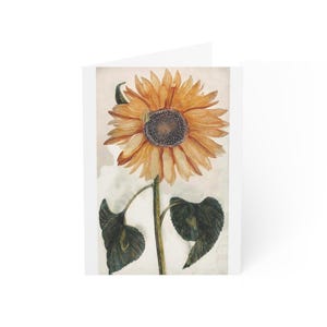 Copia dei biglietti d'auguri con i girasoli