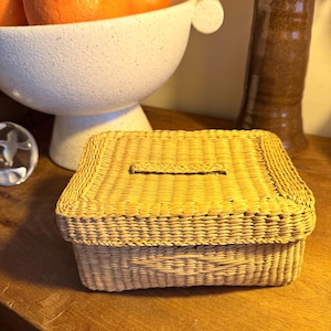 May include: A small, rectangular woven basket with a lid. The basket is made of light brown wicker and has a slot on the top. The basket is sitting on a wooden surface.