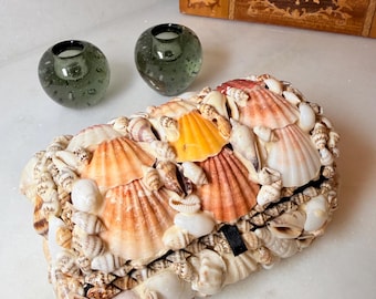 Seashell encrusted jewelry box shell trinket box coastal beach house decor handmade natural sea shells pink and amber shells maximalist