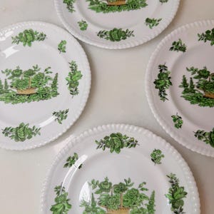 May include: Four white ceramic plates with a green botanical design. Each plate features a central image of a basket filled with greenery, surrounded by floral and leaf motifs. The rims have a textured, rope-like border.