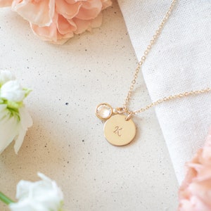 Initial and Birthstone Necklace | Personalized Letter Necklace Gift for Mom  | Monogram Mom Necklace | Family Necklace | Gift for Her