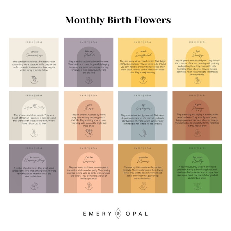 May include: A colorful chart with a monthly birth flower theme. Each month features a different flower with a description of its meaning and symbolism. The chart is designed with a modern, minimalist aesthetic and features a light gray background with a white border.