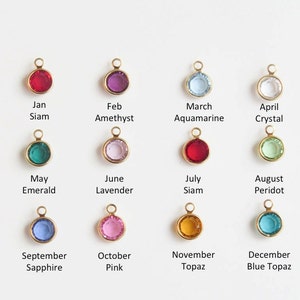 Zodiac and Birthstone Necklace Horoscope Necklace Personalized Jewelry ...