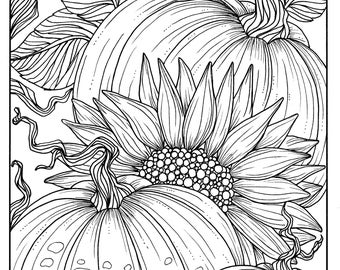 Pumpkins And Sunflower Digital Coloring Page Fall Adult Digi Stamp Thanksgiving