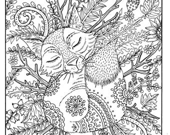 Fall Fox Coloring Page Digital Adult Digi Thanksgiving Pages To Color