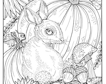 Fall Bunny And Pumpkin Coloring Page Digital Digi Adult Pages Books Thanksgiving