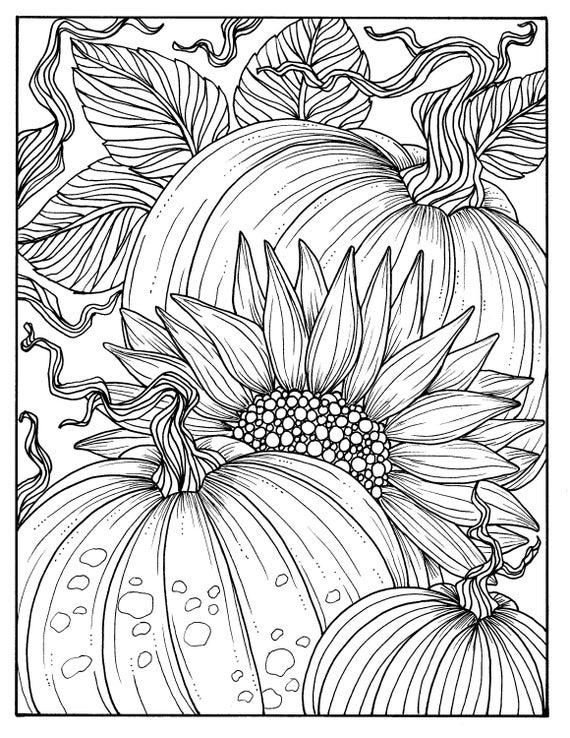 Fall Colouring Sheets, Digital Download, Autumn Coloring Pages for Kids  or Adults, Set of 8 Sheets