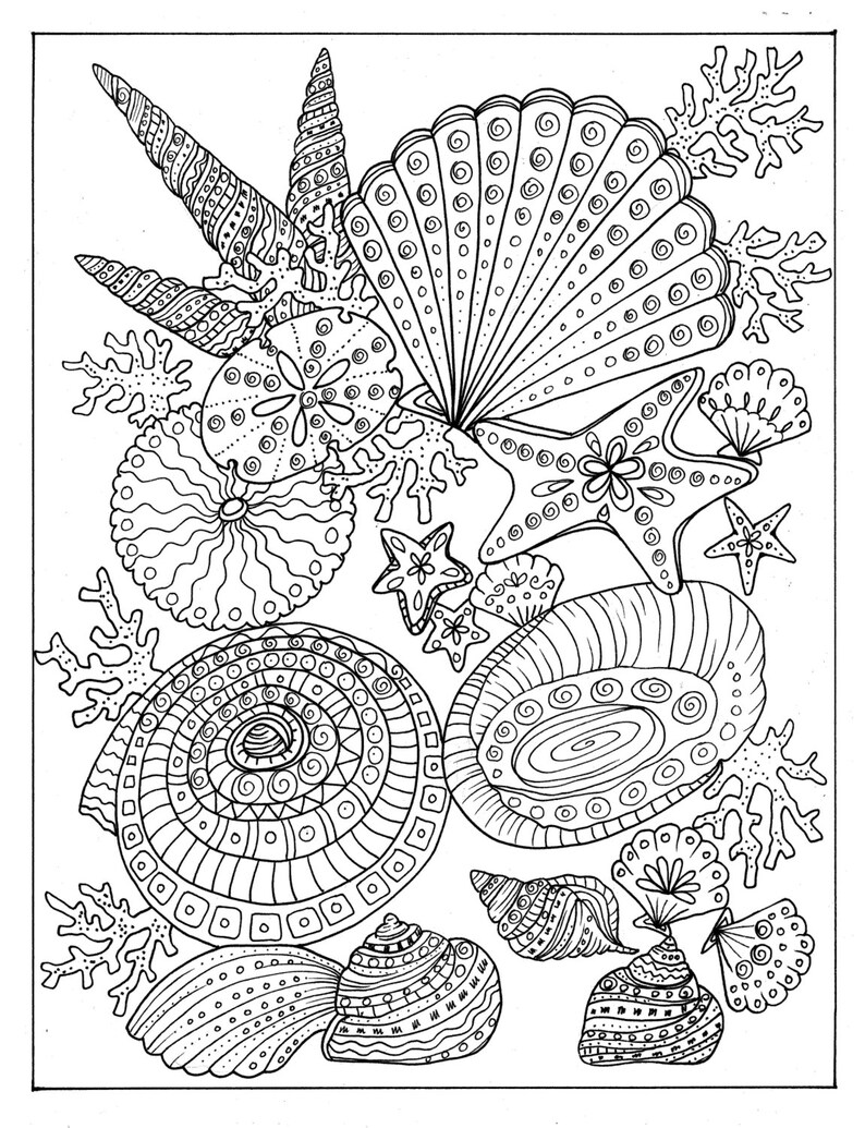 SHELLS Coloring Book Relax Color Adult Coloring Stress Less Etsy