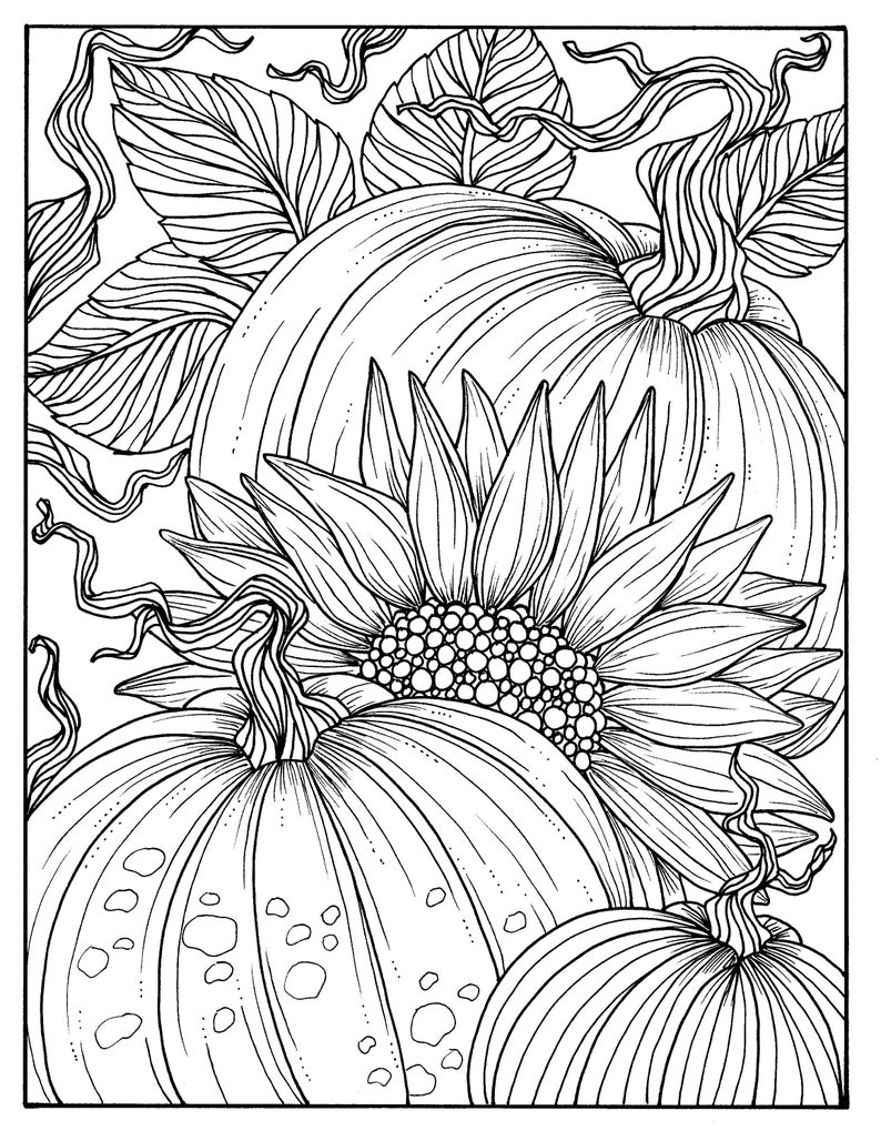 Pumpkins and Sunflower Digital Coloring Page Fall Adult | Etsy