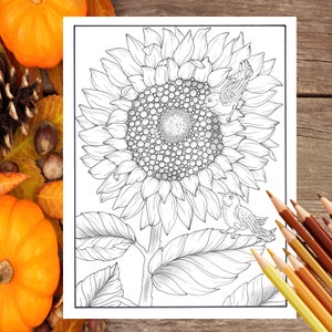 Printable PDF Sunflower and birds coloring page, fall, pumpkins and leaves