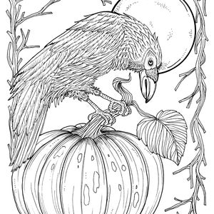 5 Pages Fabulous Fall Digital Downloads to Color Punpkins, crows, sunflowers, gourds, squirrel, thanks, autumn, image 3