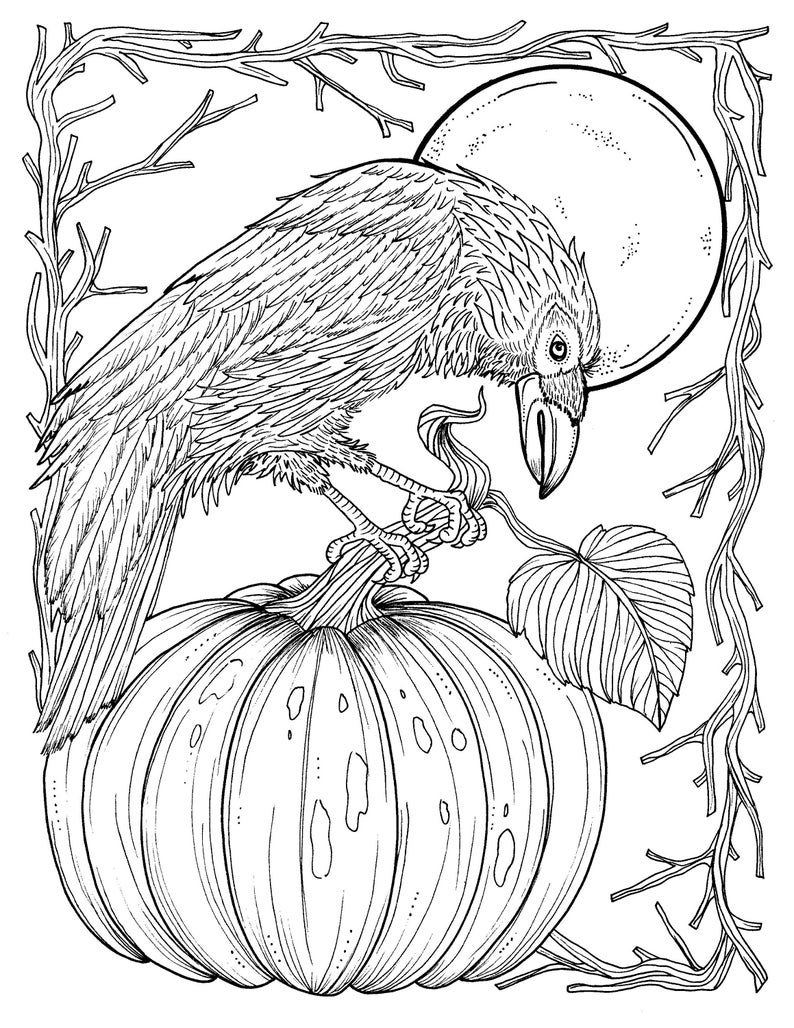 5 Pages Fabulous Fall Digital Downloads to Color Punpkins, crows, sunflowers, gourds, squirrel, thanks, autumn, image 3