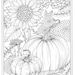 Fall flowers and pumpkins digital coloring page Thanksgiving, mums, sunflower, autumn, digi stamp