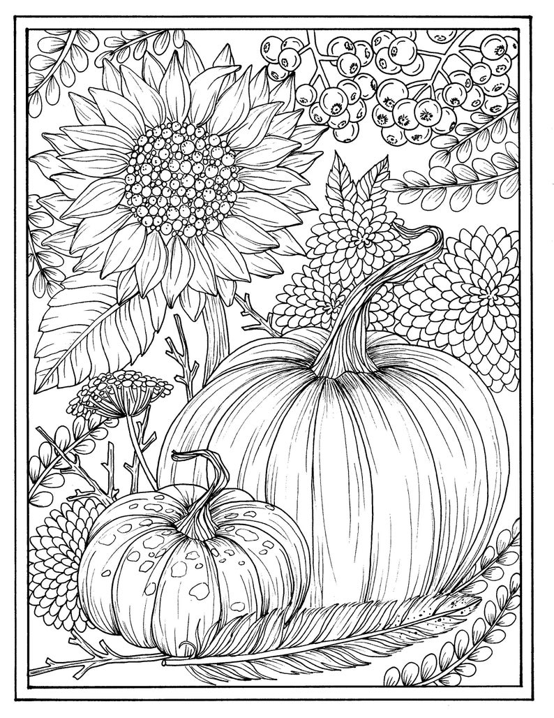 Fall flowers and pumpkins digital coloring page Thanksgiving, mums, sunflower, autumn, digi stamp 