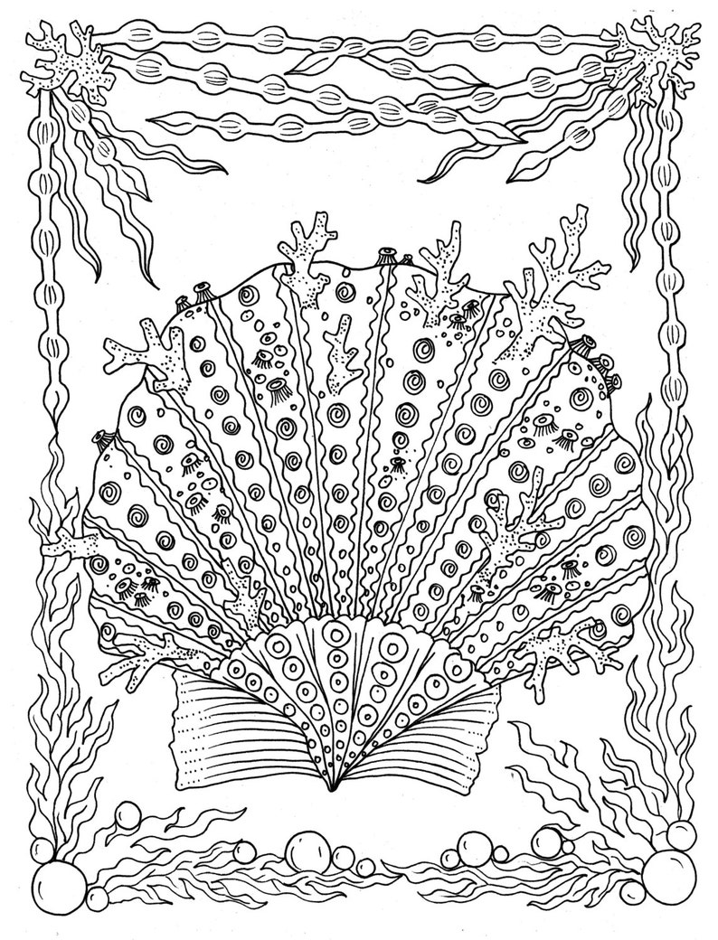 The 10 Best Coloring Books For Adults 2021 Art Coloring Books For