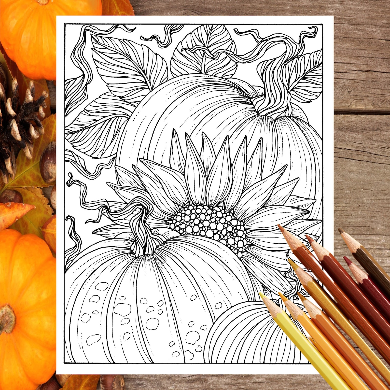 Pumpkins and Sunflower Digital Coloring Page Fall, Adult Coloring, Digi ...