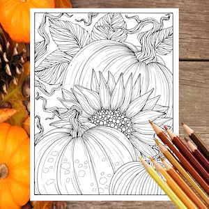 Pumpkins and Sunflower Digital Coloring Page Fall, Adult coloring, digi stamp, thanksgiving