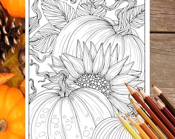 Pumpkins and Sunflower Digital Coloring Page Fall, Adult coloring, digi stamp, thanksgiving