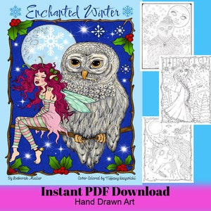 May include: A digital download coloring book cover titled "Enchanted Winter." The cover art features a detailed illustration of a fairy with pink hair and an owl perched on a branch. Additional coloring pages are shown. Text includes "Instant PDF Download" and "Hand Drawn Art."