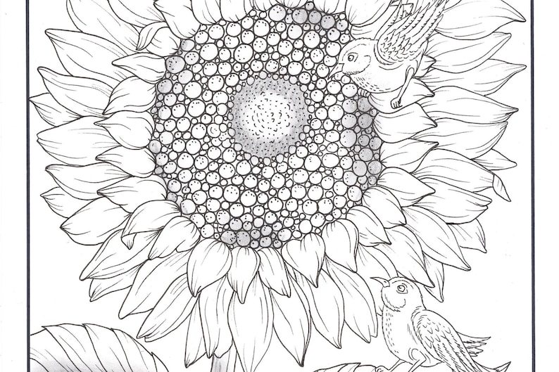 Printable DPF Sunflower and Birds Coloring Page Fall | Etsy