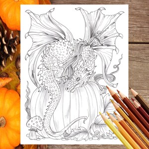 May include: A black and white line drawing of a dragon perched on top of a pumpkin. The dragon has large wings and a long tail. The pumpkin is surrounded by leaves and a mushroom.