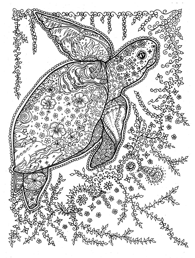 Download Key West Digital Coloring Book Instant download animals | Etsy