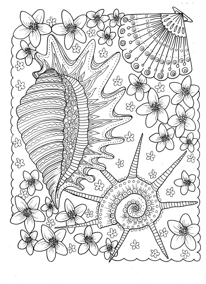 5 Pages of Shells to Color Digital Instant Download Coloring | Etsy