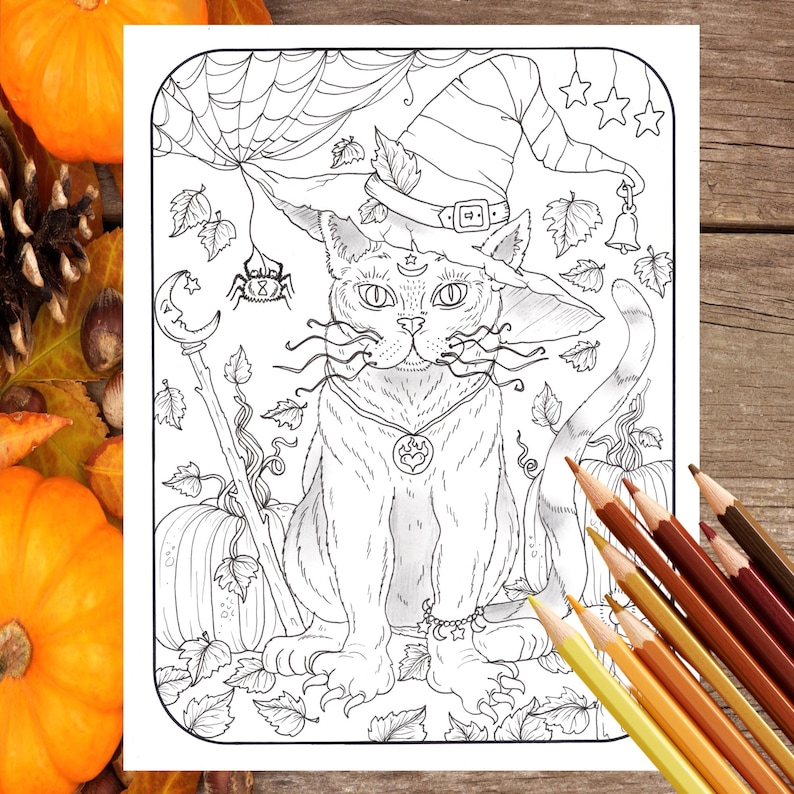 May include: A black and white line art coloring page featuring a cat wearing a witch's hat and holding a wand. The cat is surrounded by pumpkins, leaves, and a spider web.