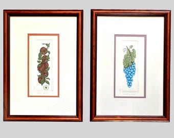 Vintage Barbie Tidwell Fruit Etchings, Signed Numbered Grapes Plums Pair