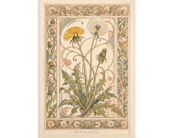 Carte postale Art nouveau pissenlit, mini impression d'art botanique