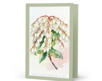 Carte de voeux vierge aquarelle botanique, impression Pieris japonica vert ivoire jaune, enveloppe incluse