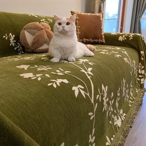 May include: A white and orange cat sits on a green sofa cover with a floral pattern. The cover has a fringe trim. A brown pillow with a decorative edge and a round, brown pillow are also on the sofa.