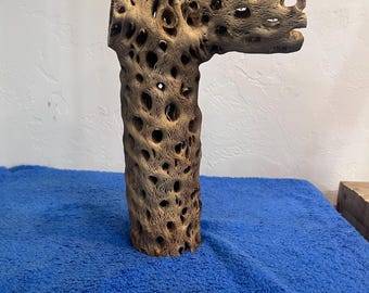 Cholla Cactus for Aquarium/Terrariums.