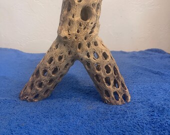 Invereted Y shaped Cholla Cactus for Aquarium/Terrariums.