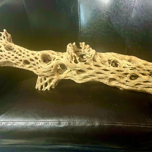 24&quot; Decoritve Cholla Stump