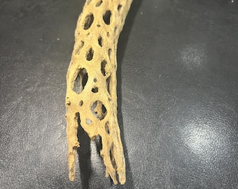 10" Cholla Cactus for Aquarium/Terrariums