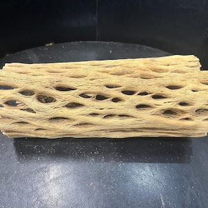 9&quot; Long  4&quot; Thick Cholla Cactus Skeleton for Aquarium/Terrariums.