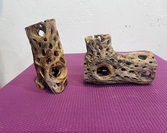 2 piece Cholla Cactus for Aquarium/Terrarium set