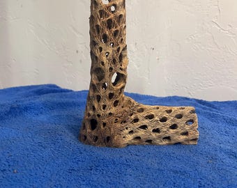 EL Cholla Cactus for Aquarium/Terrariums.
