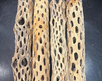 7" x 1"-2"  Cholla Cactus Skeletons