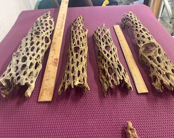 1/2 split Cholla Cactus Skeleton per 2 pieces