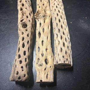 9&quot;-10&quot; Cholla Cactus Skeleton 9-10&quot; x 1-1.5&quot;