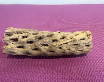 10" Cholla Cactus thick branch for Aquarium/Terrariums.