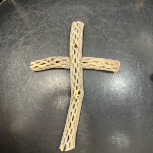 Cholla Cactus Skeleton Cross 9.5 x 6&quot;