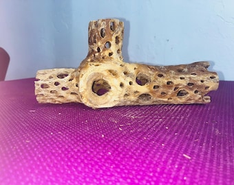 8.5 inch Cholla Cactus for Aquarium/Terrariums