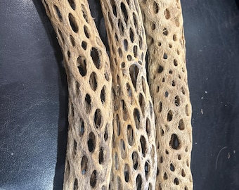 9" x 1.5" Cholla Cactus Skeleton = 1 piece.
