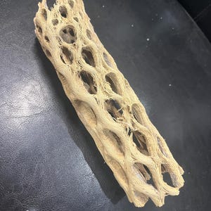 10&quot; Cholla Cactus Aquarium or Terrarium Structure